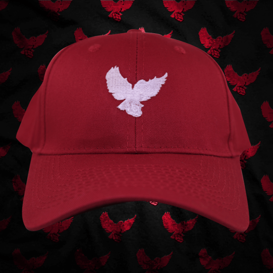 Image of Red/Black Birdies Dad Hat