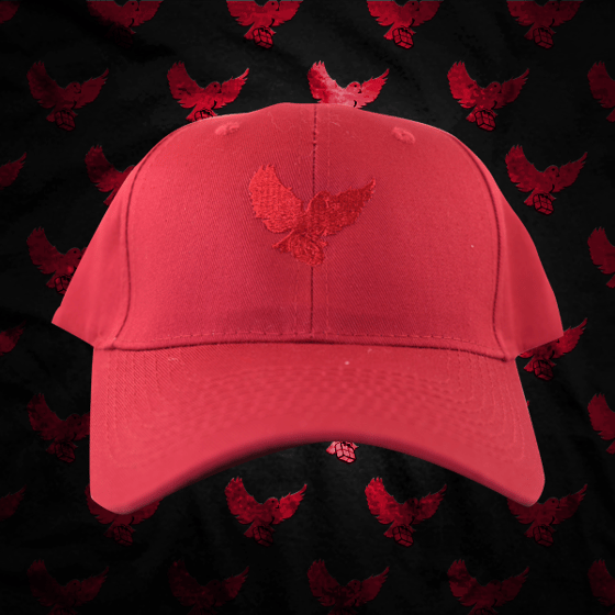 Image of Red/Red Birdies Dad Hat