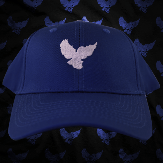 Image of Blue/White Birdies Dad Hat