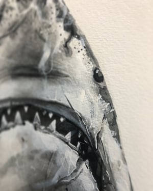 Image of “Jaws”