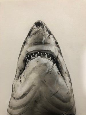 Image of “Jaws”