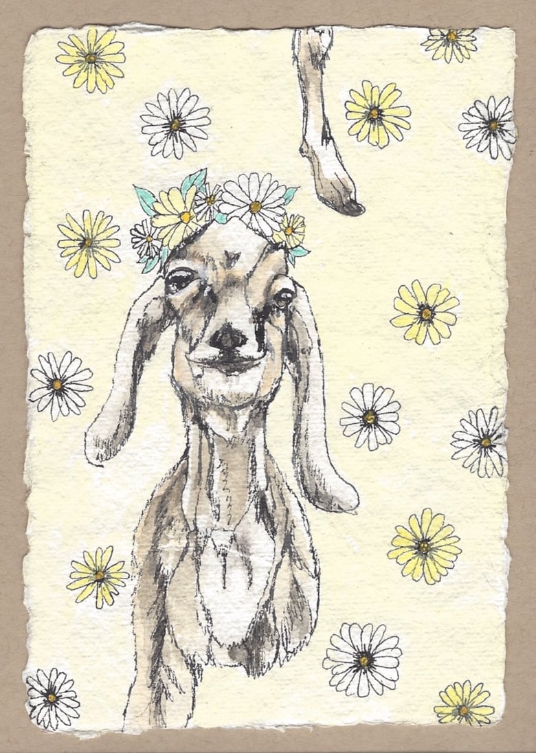 Image of flower kidd