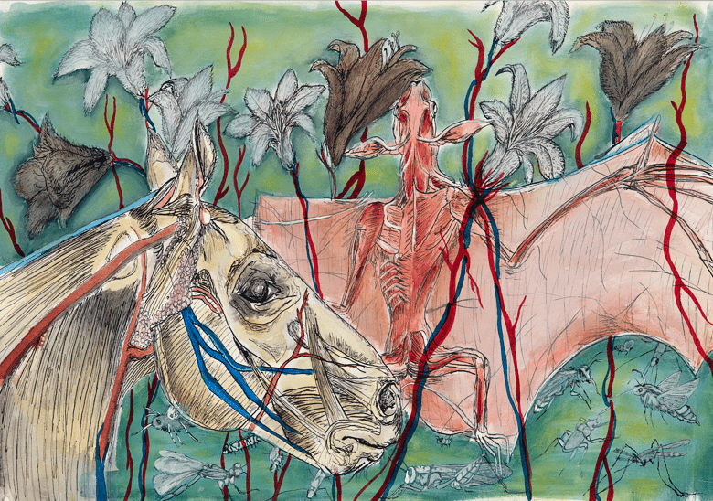 Image of Fur flowers