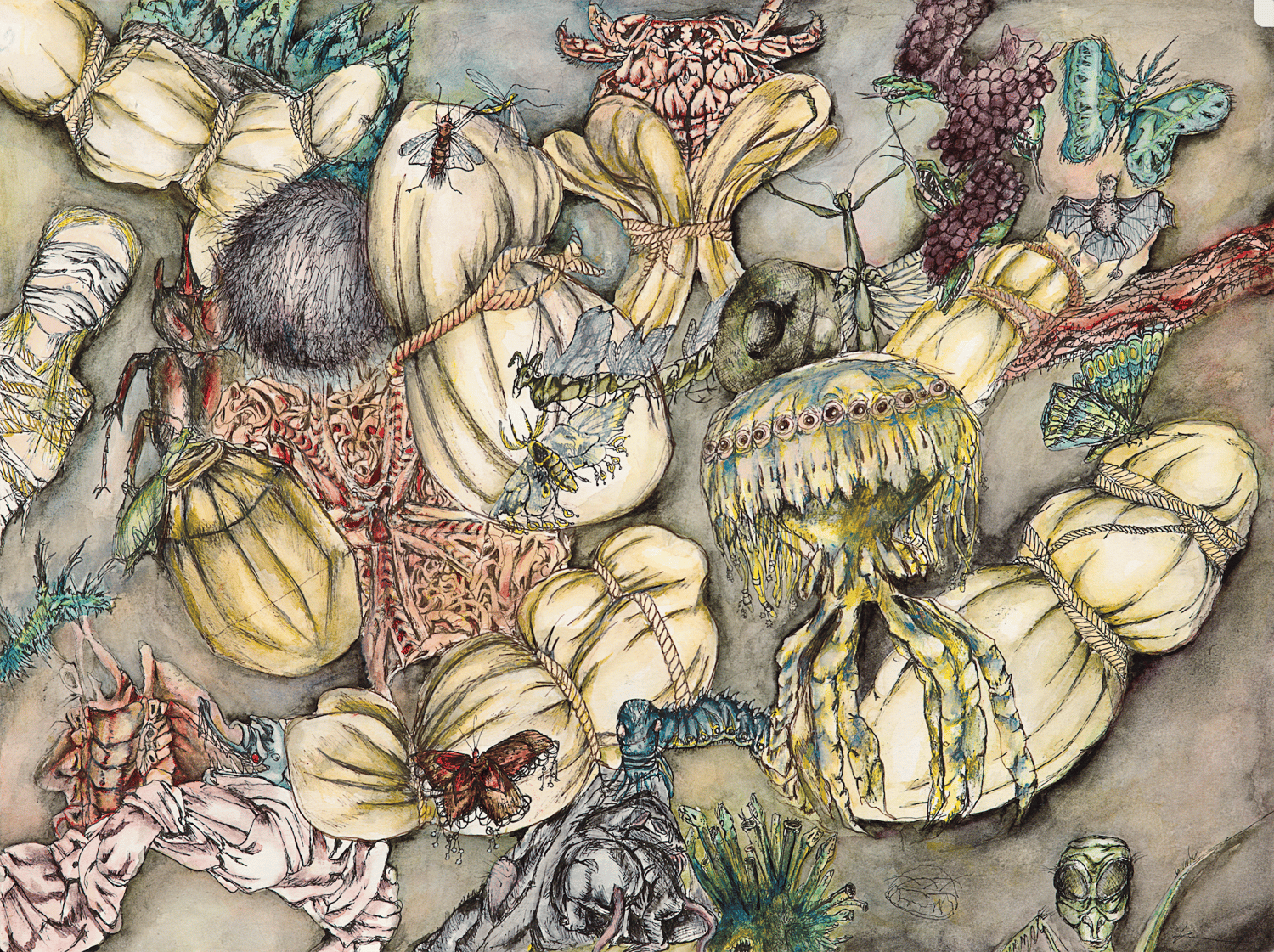 Image of Something is in the Water