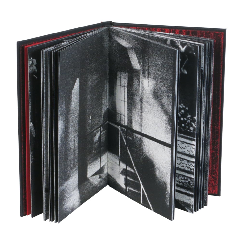 Image of Noir Interiors (Hard back)