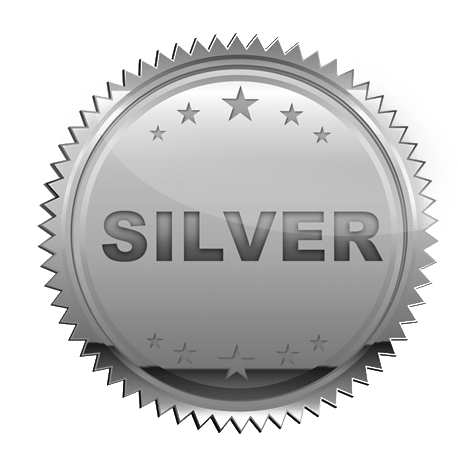 Image of Silver Forex Trading Course Package