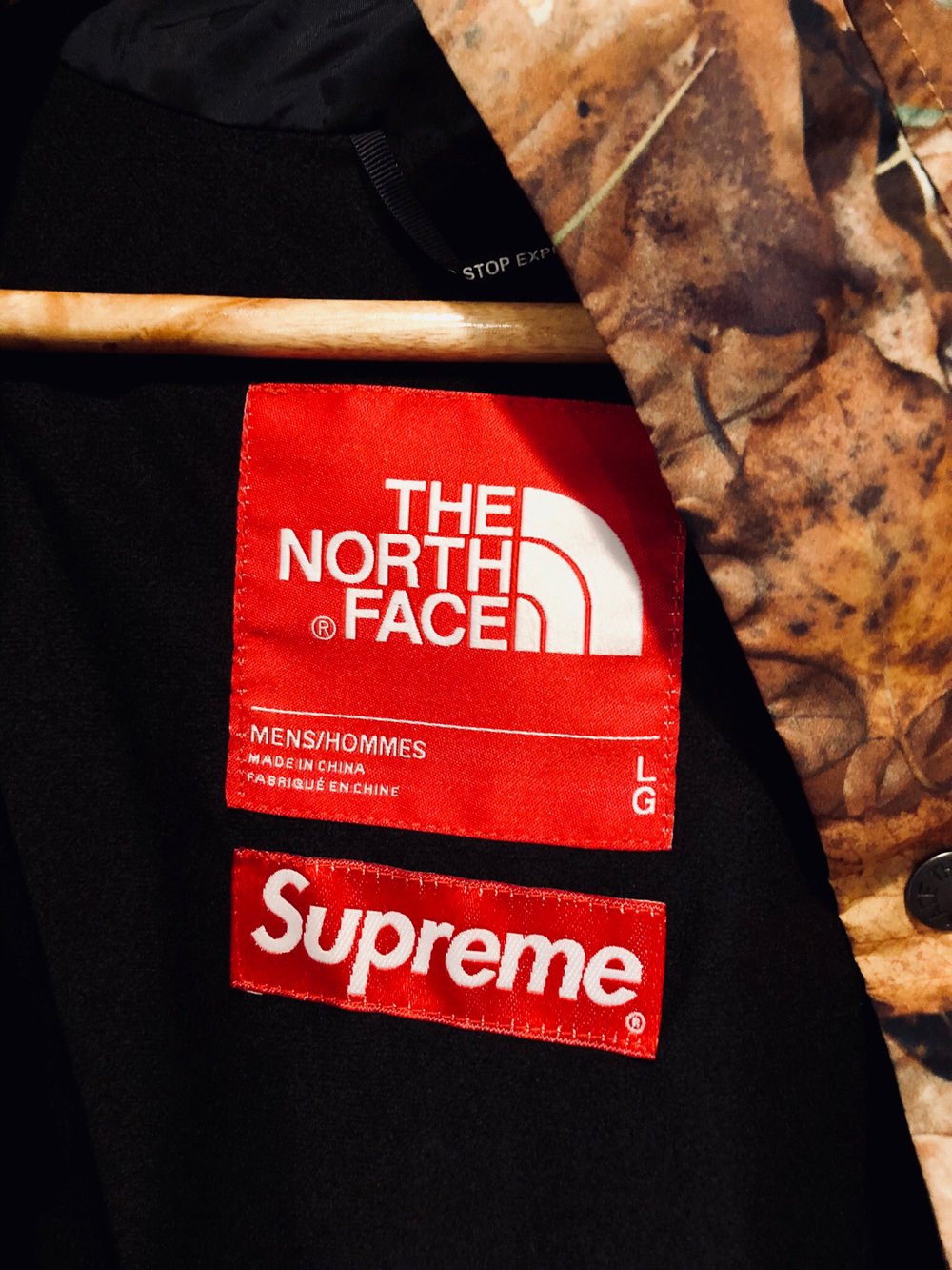 Supreme®️ x The North Face®️ - Mountain Light Jacket (Leaves Camo)