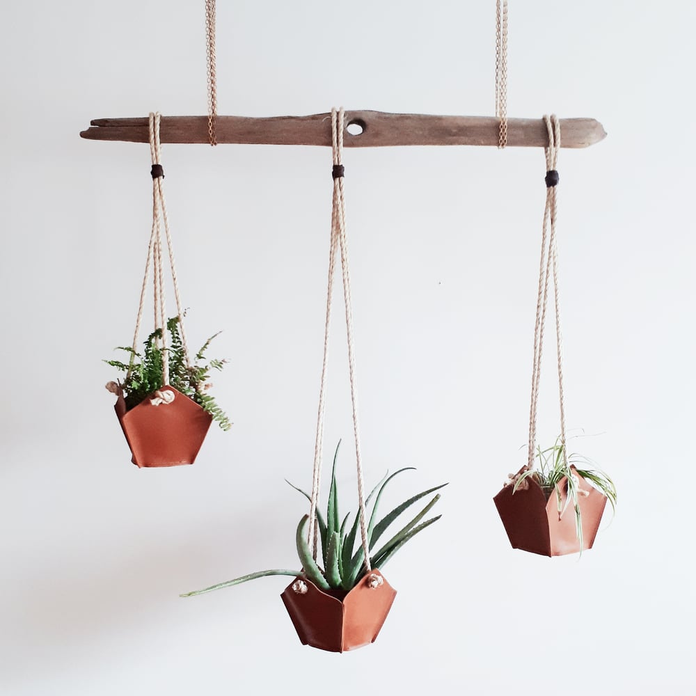 Image of leather plant hanger