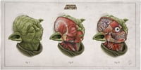 Image 1 of YODA - head anatomy  (limited ed. of 50 Giclèe  wide print on fine art canvas)