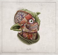 Image 5 of YODA - head anatomy  (limited ed. of 50 Giclèe  wide print on fine art canvas)