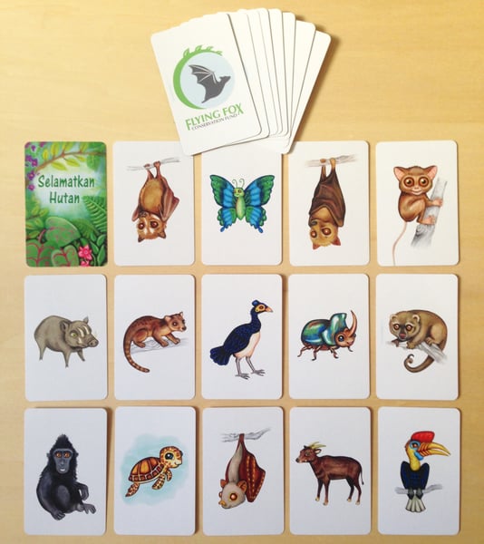 Image of Sulawesi Match Game