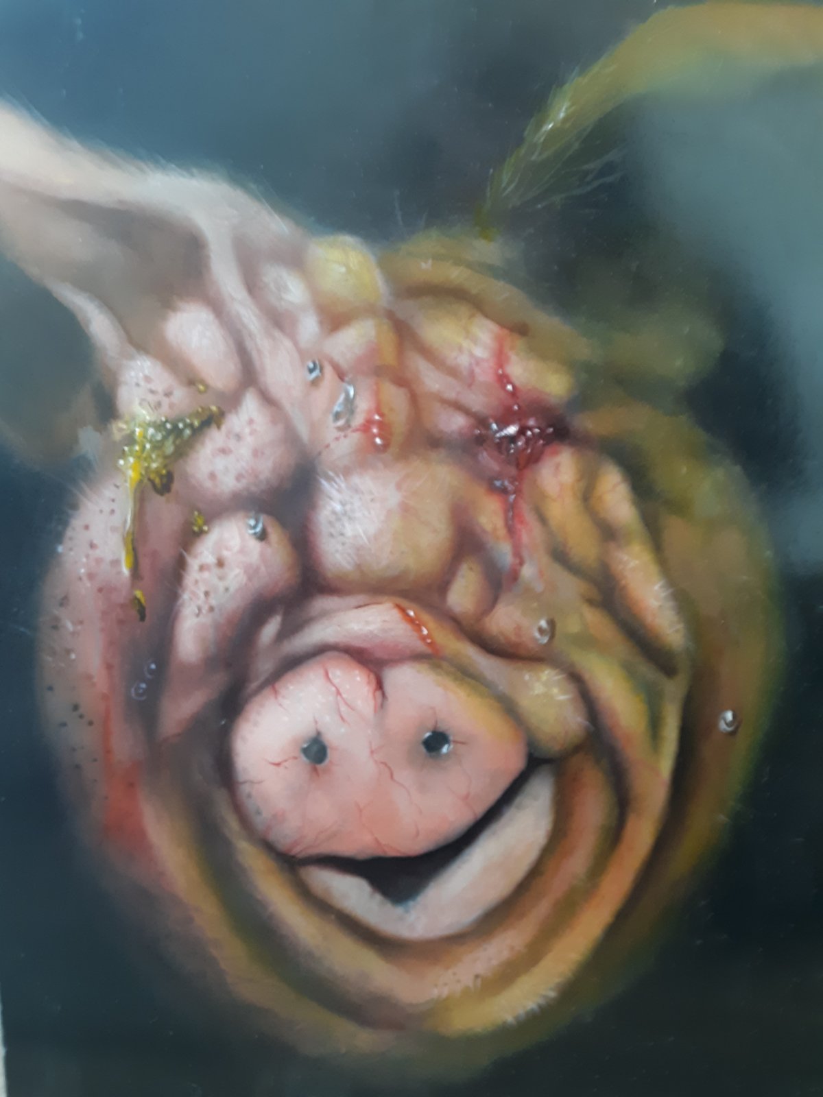 Image of Pig #4
