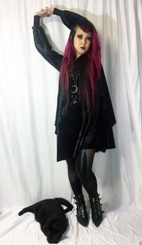 Image 2 of Bishop Sleeve Dress on Black Velvet