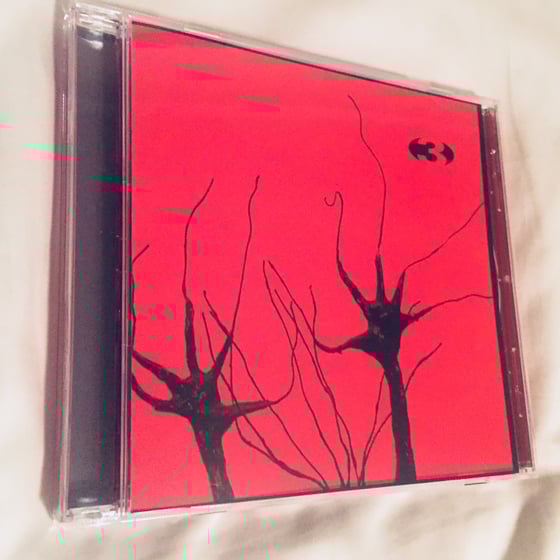 Image of Original "Wake Pig" Album