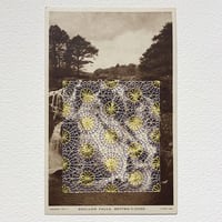 Image 1 of WE ARE STILL HERE