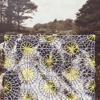 Image 2 of WE ARE STILL HERE