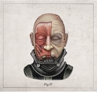 Image 4 of DARTH VADER - head anatomy  (limited ed. of 50 Giclèe  wide print on fine art canvas)
