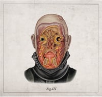 Image 5 of DARTH VADER - head anatomy  (limited ed. of 50 Giclèe  wide print on fine art canvas)