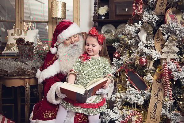 Image of Santa Portraits at Living Chic