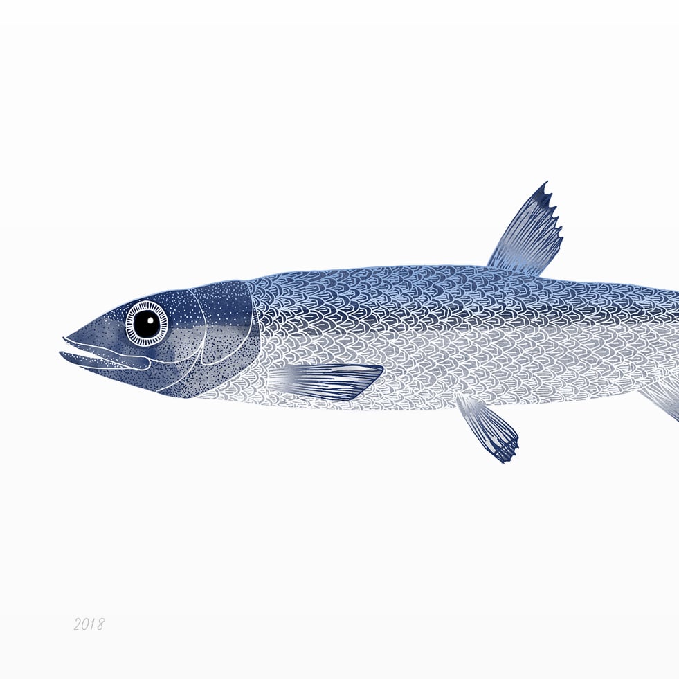 Print: Stint