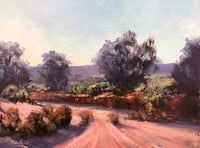 Broken Hill Landscape