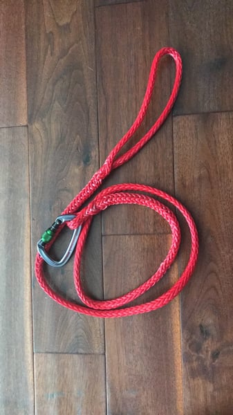 Image of TOO dog leash