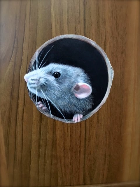 Image of Ruffalo Rat ~ Removable Wall sticker