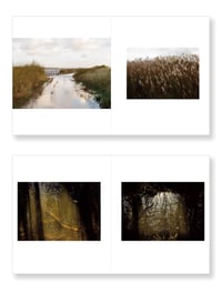 Image 2 of Amanda Harman - A Fluid landscape