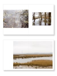 Image 3 of Amanda Harman - A Fluid landscape