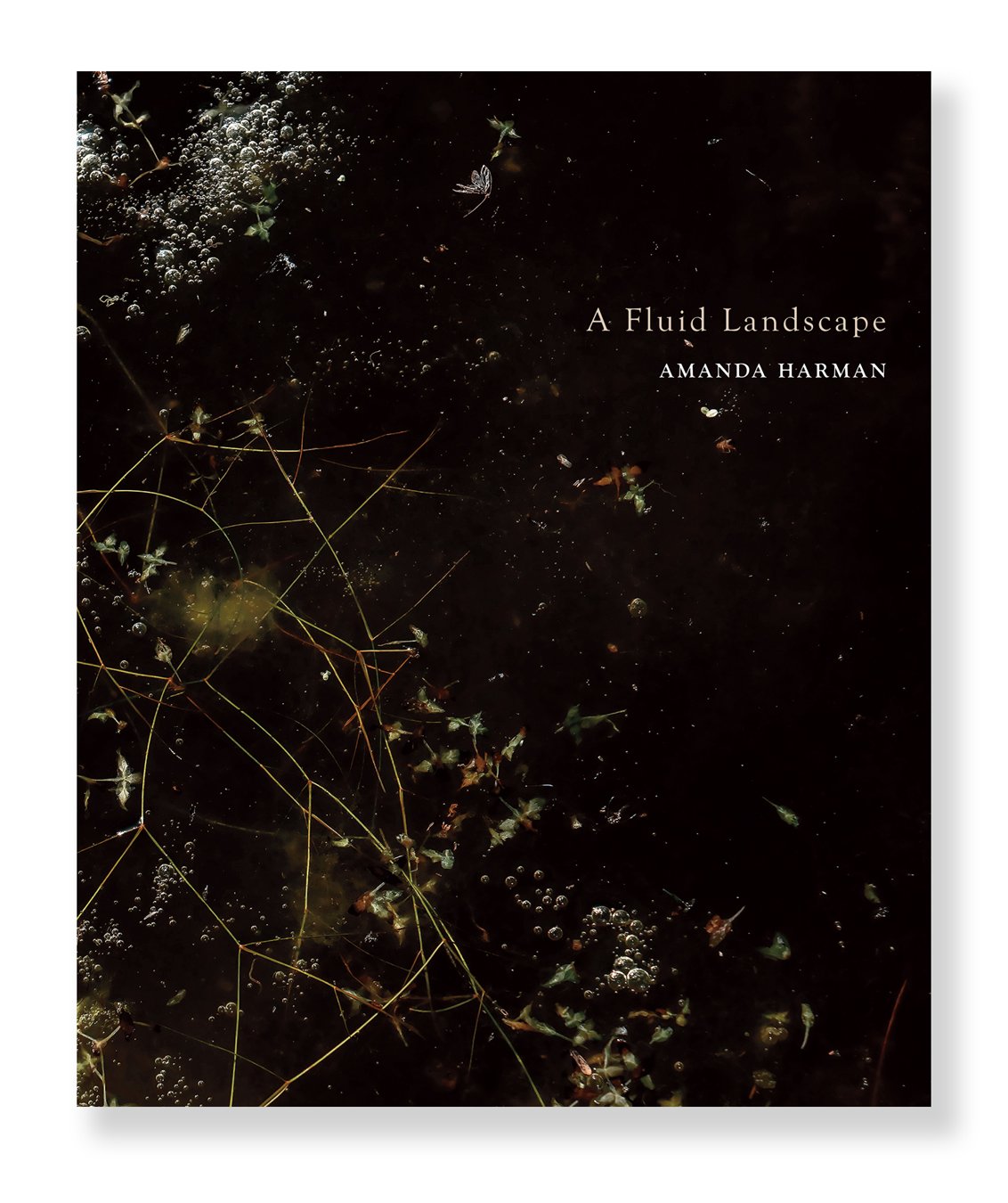 Amanda Harman - A Fluid landscape