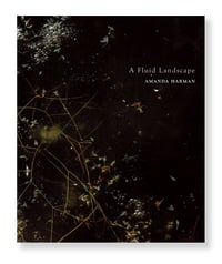 Image 1 of Amanda Harman - A Fluid landscape