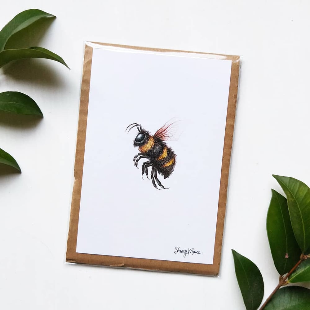 Image of Bee - Fine Art Print