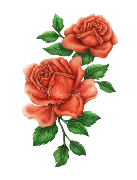 Image of Red Roses - Fine Art Print