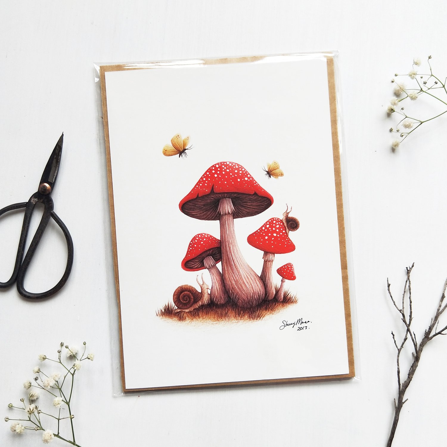 Image of Toadstools - Fine Art Giclée Print