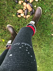 Image of Alaska Love Leggings