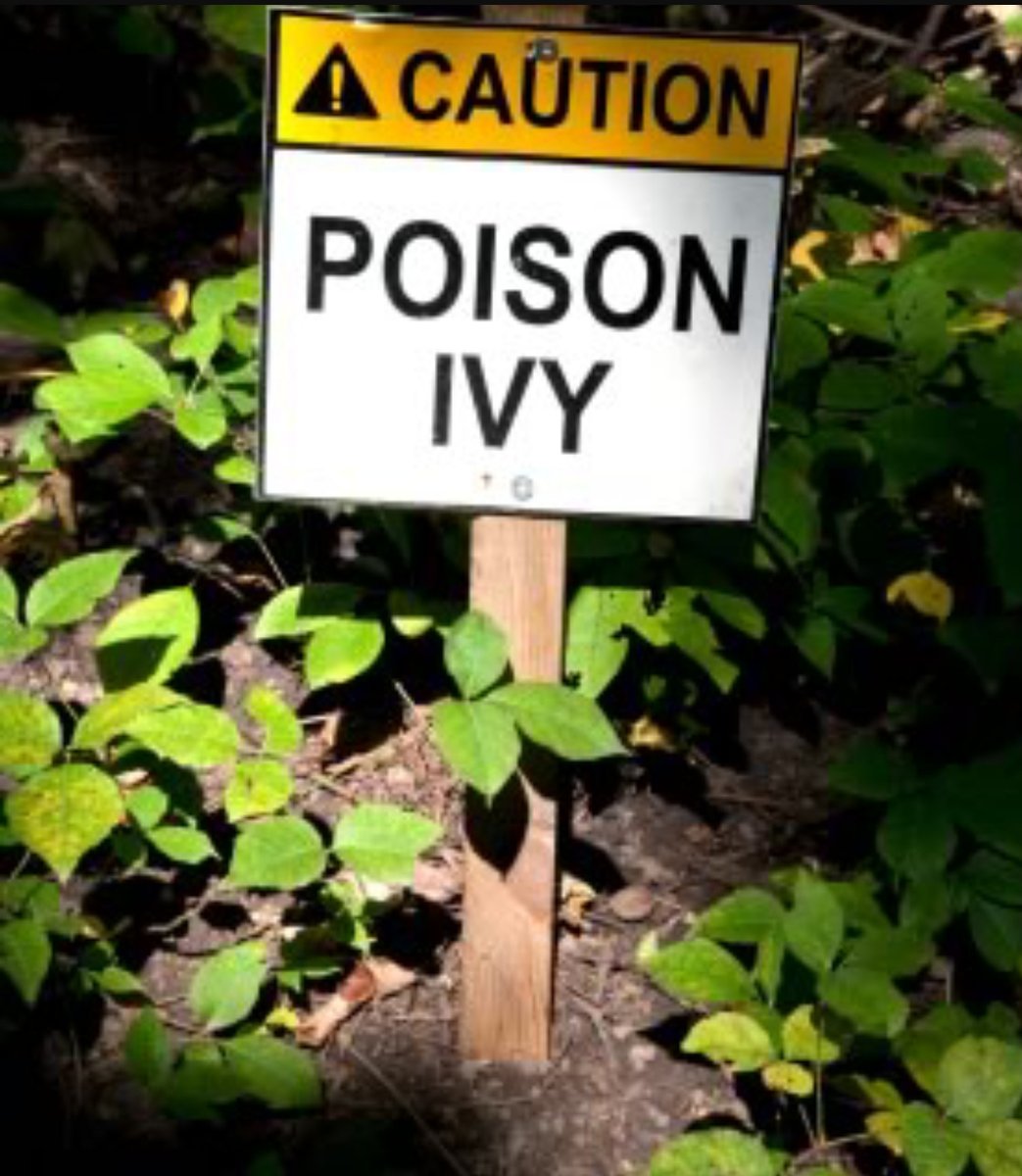 Ultimate Natural relief of Poison Ivy/Sumac/Oak Kit Bespoke