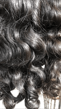 Image 2 of Indian Chesapeake Curl  