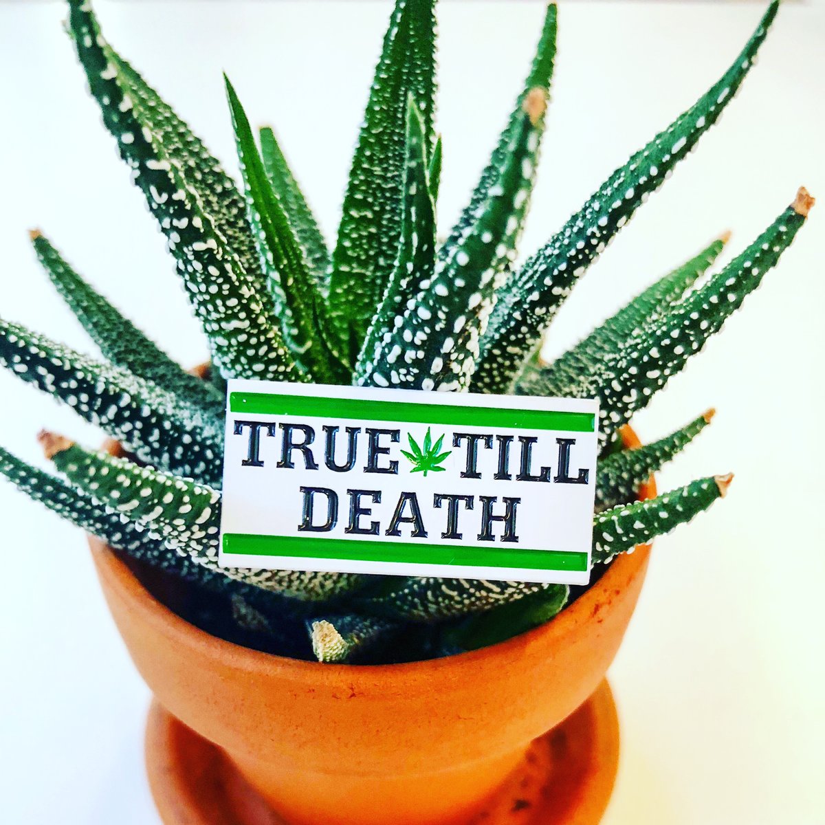 Image of True Till Death Pin