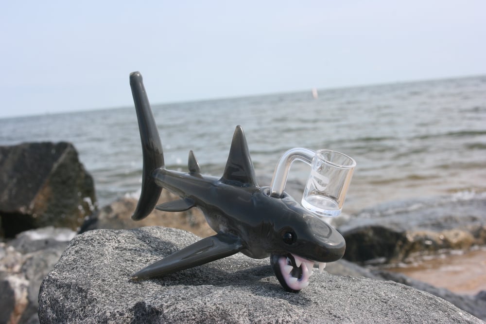 Image of Kyru Glass Shark