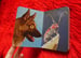 Image of 【Signed】Various Animals - book