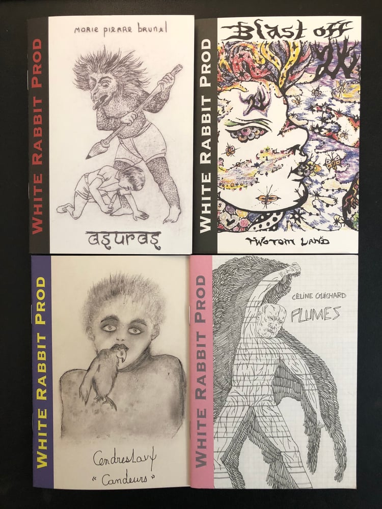 Image of Pool Of Tears serie # 1 / Pack of 4 zines