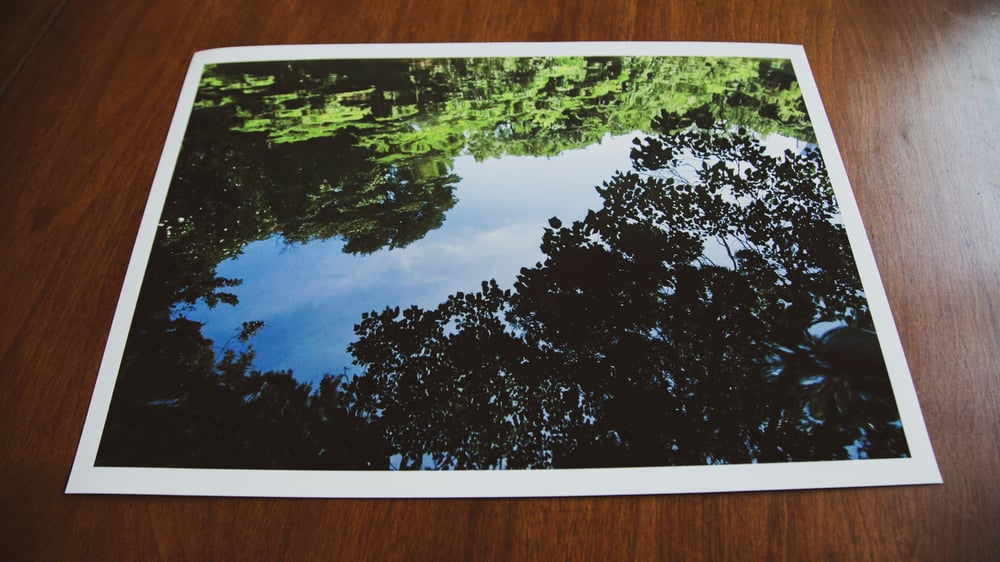 "SANSHIRO POND" 12X17 Print (Signed single edition)