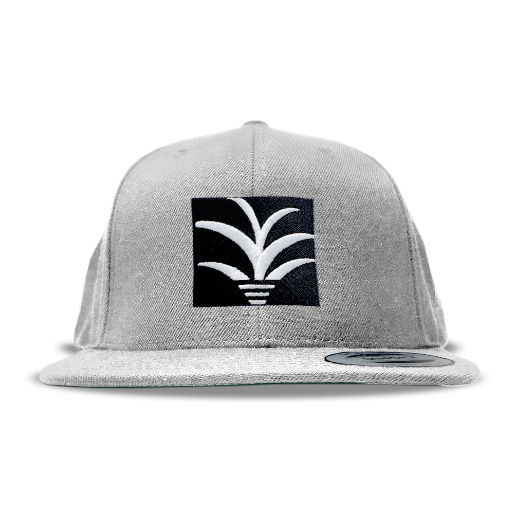 Image of Branded Snapback v.2