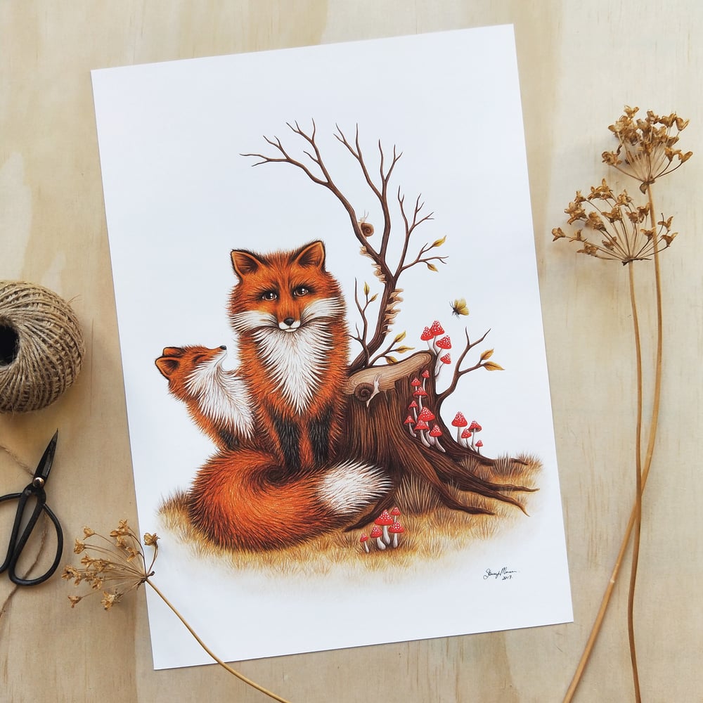 Image of Fox & Fungi - Fine Art Giclée Print