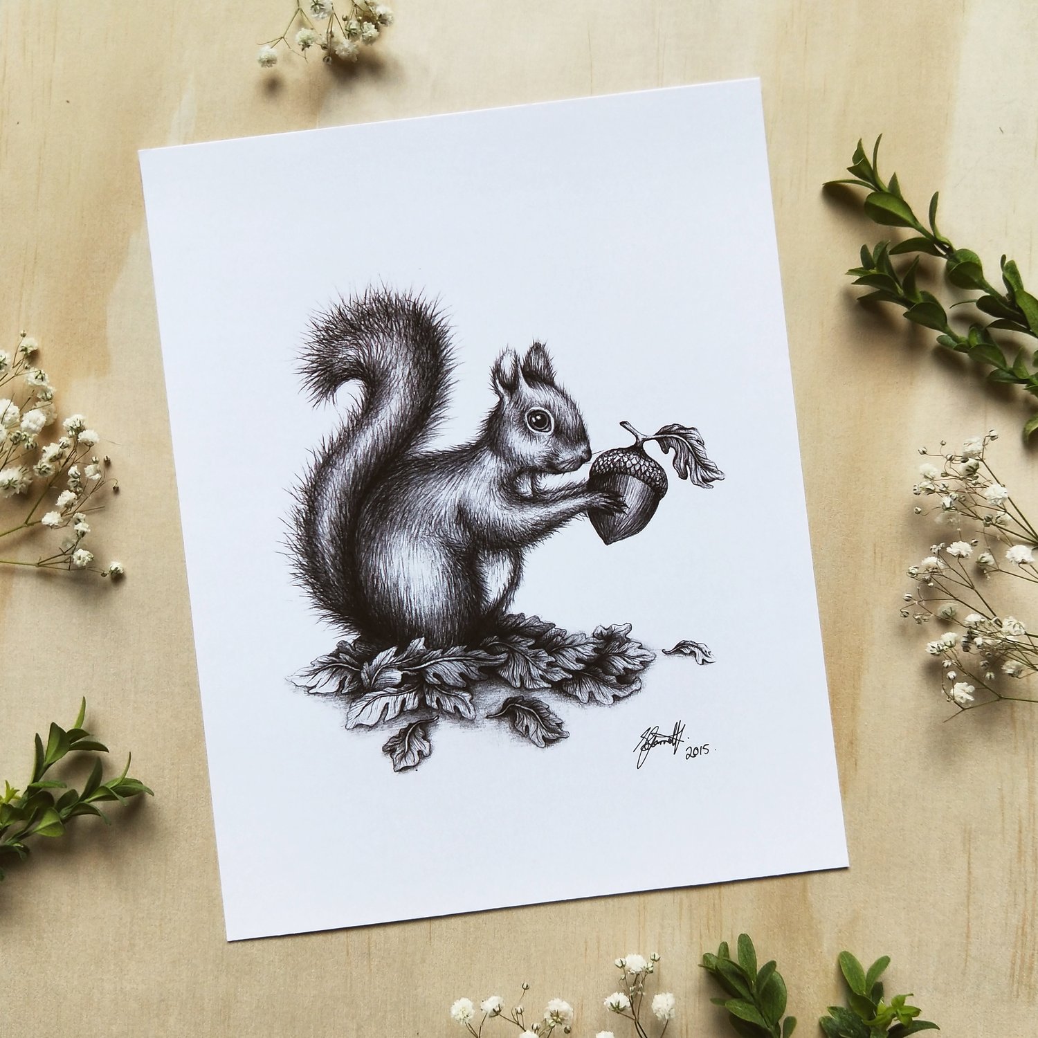 Image of Squirrel - Art Print