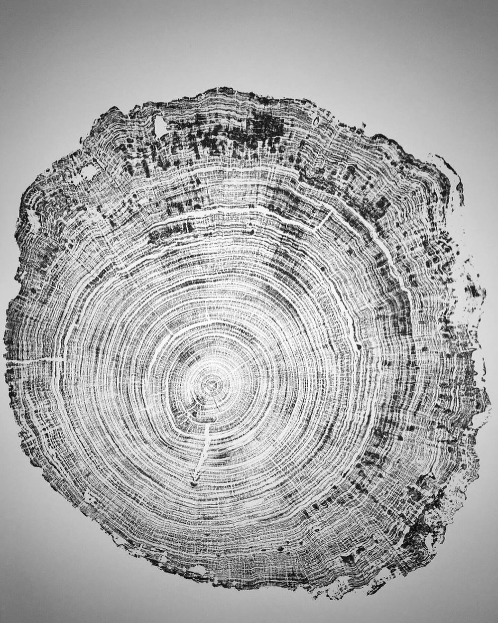 Image of Relief Prints - Eastern Red Cedar