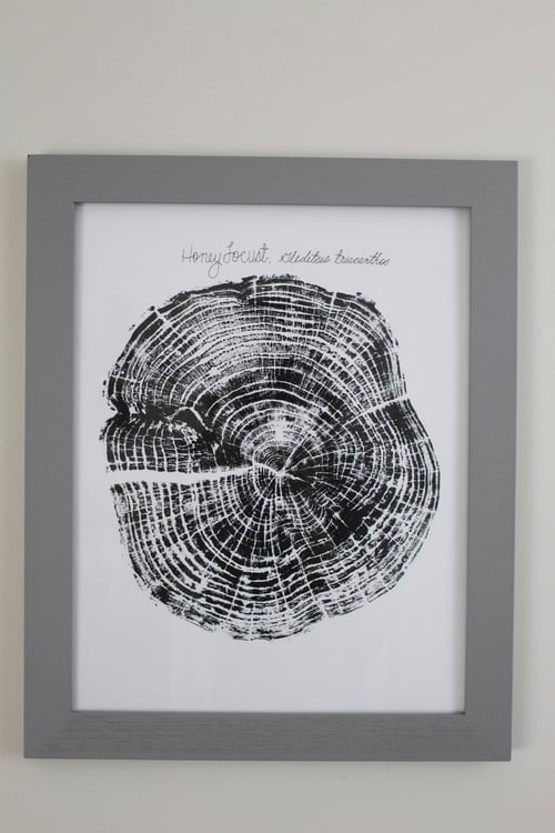 Image of Relief Prints - Eastern Red Cedar