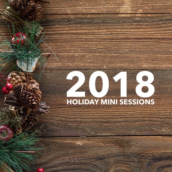 Image of 2018 Holiday Mini