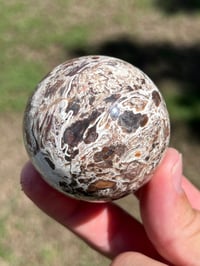 Image 10 of Money Agate Sphere #2834