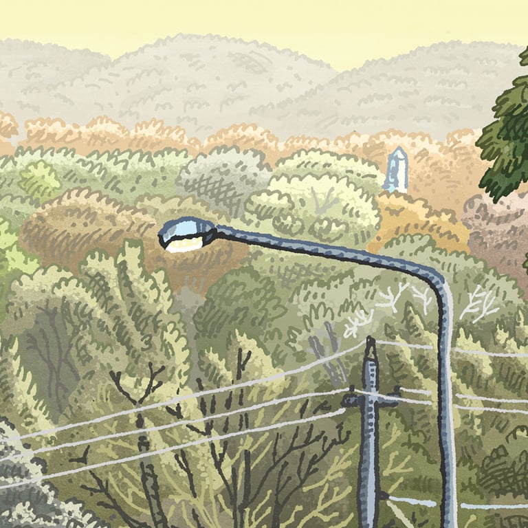 Latham, Florey Drive, digital Print Image 3